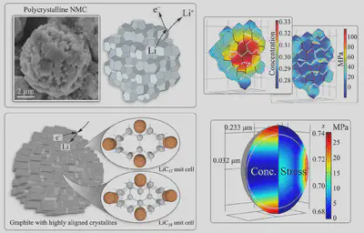 Chemo-mechanical response of electrode particles.